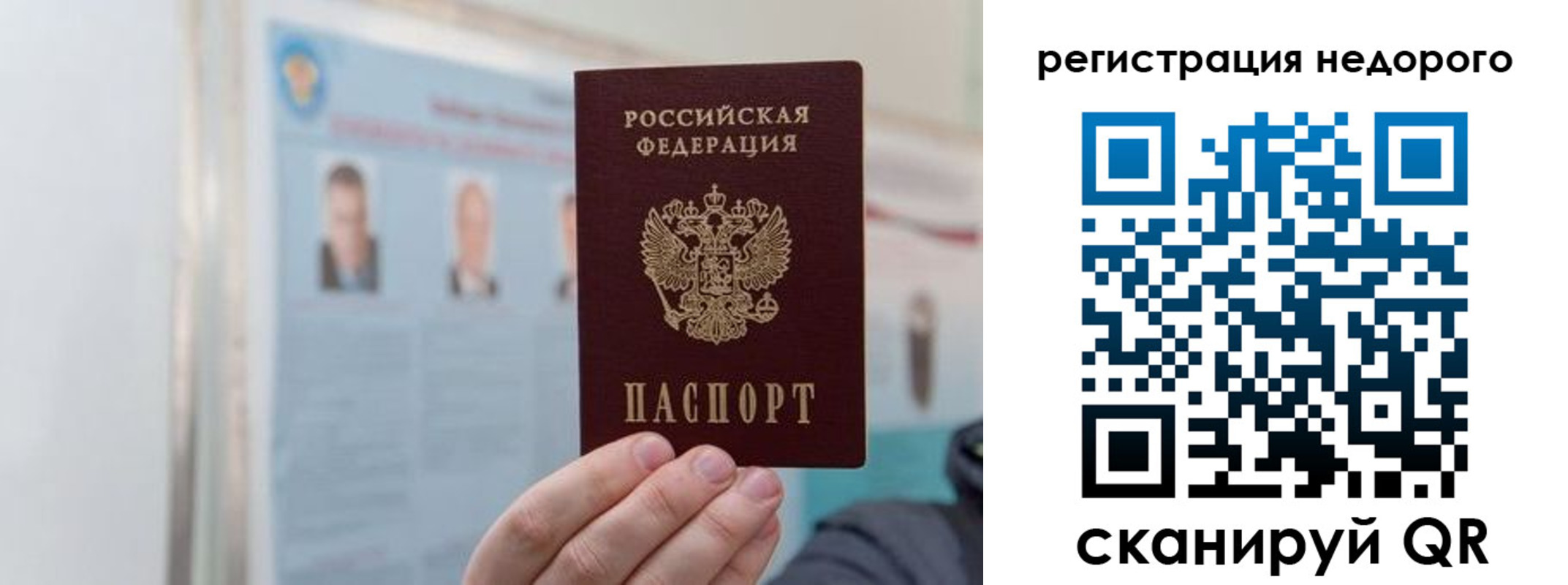 прописка 2025 в Лосино-Петровском